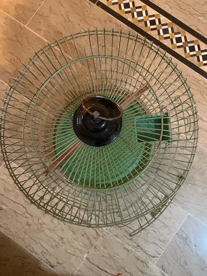 Parrot cage — photo 4