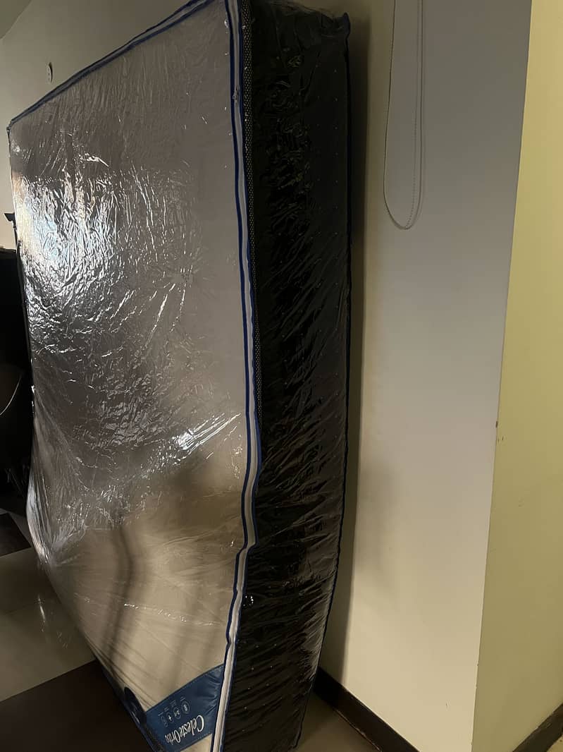 Celeste Master Molty Foam 0