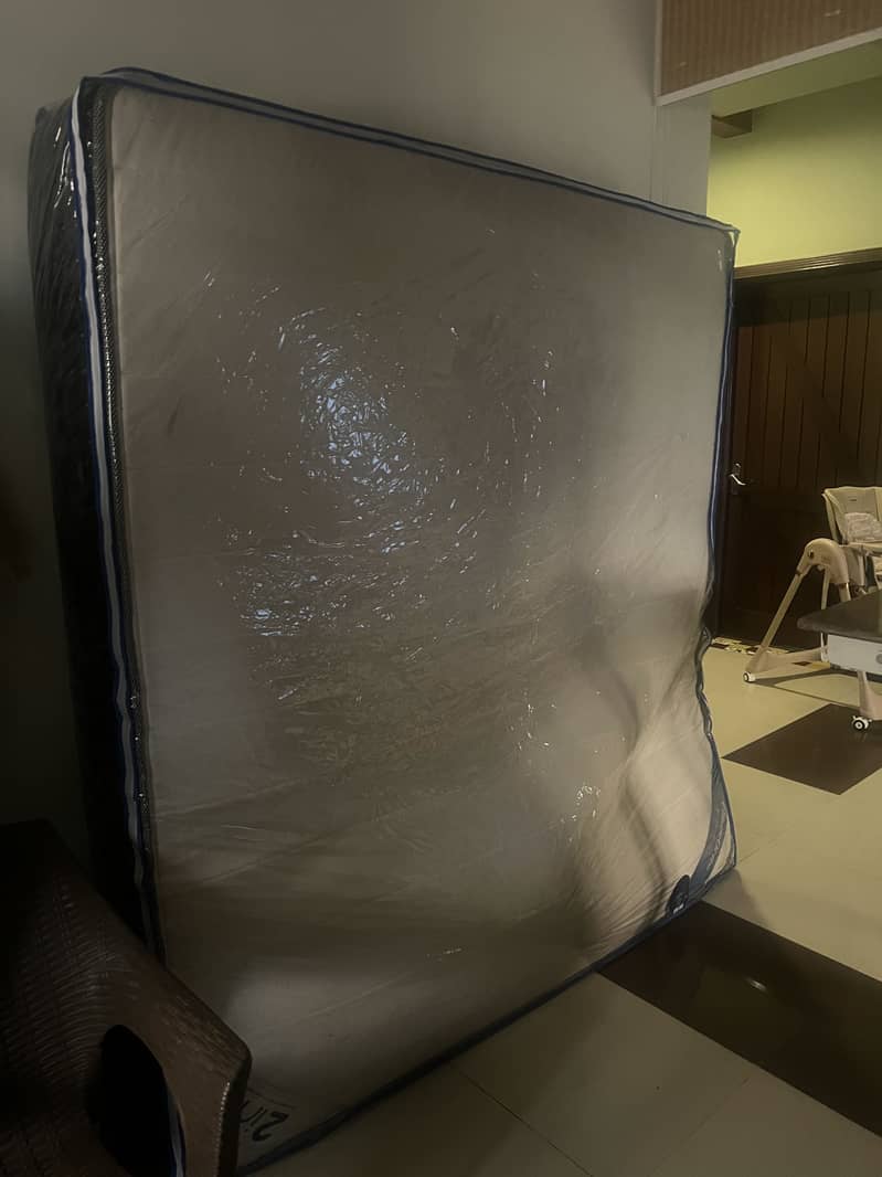 Celeste Master Molty Foam 1