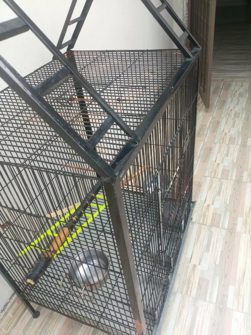 Parrot cage For Sale — photo 3