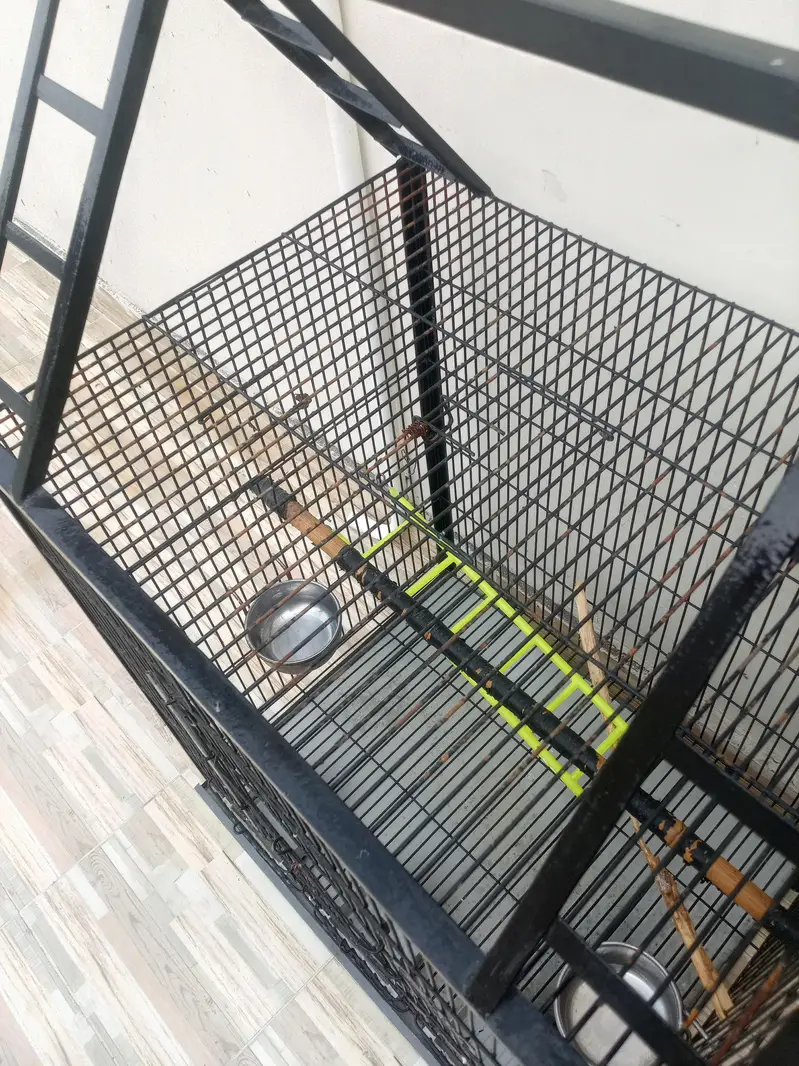 Parrot cage For Sale — photo 4
