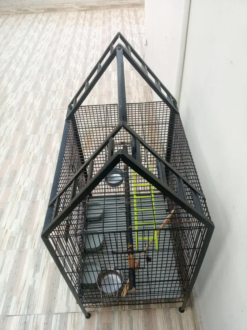 Parrot cage For Sale — photo 5