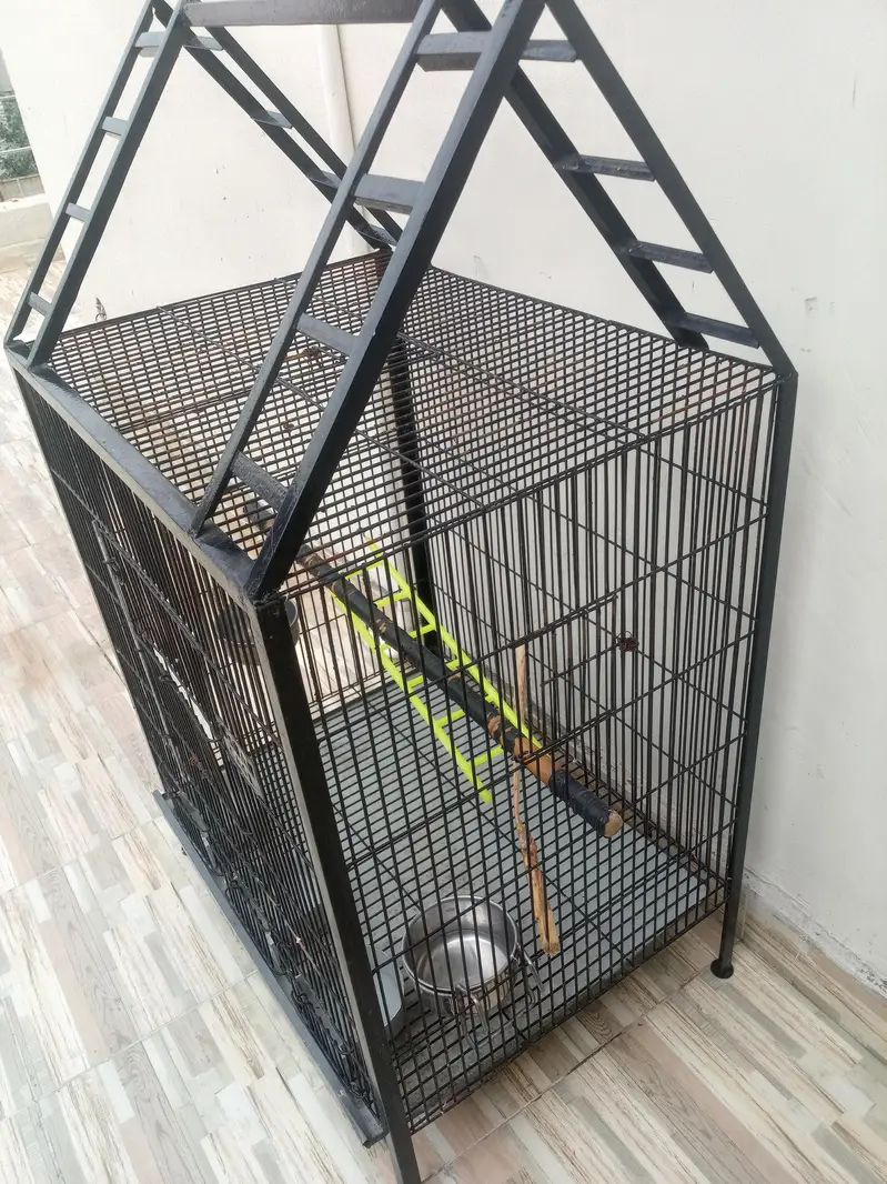 Parrot cage For Sale — photo 6