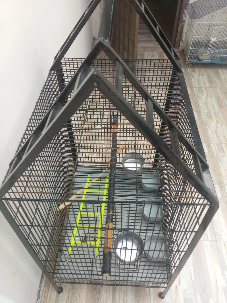 Parrot cage For Sale — photo 9