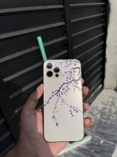 Apple iPhone 12 Pro