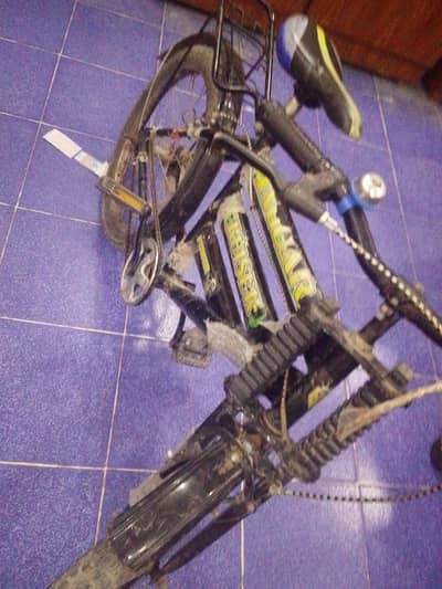 Peeco bicycle