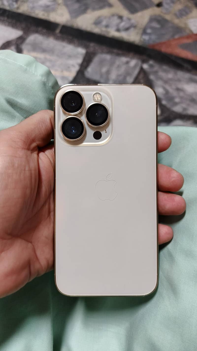Apple iPhone 13 Pro 0