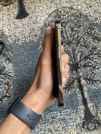 iPhone 13 Pro factory unlock