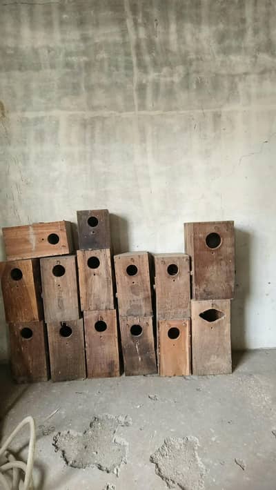 cage & boxs