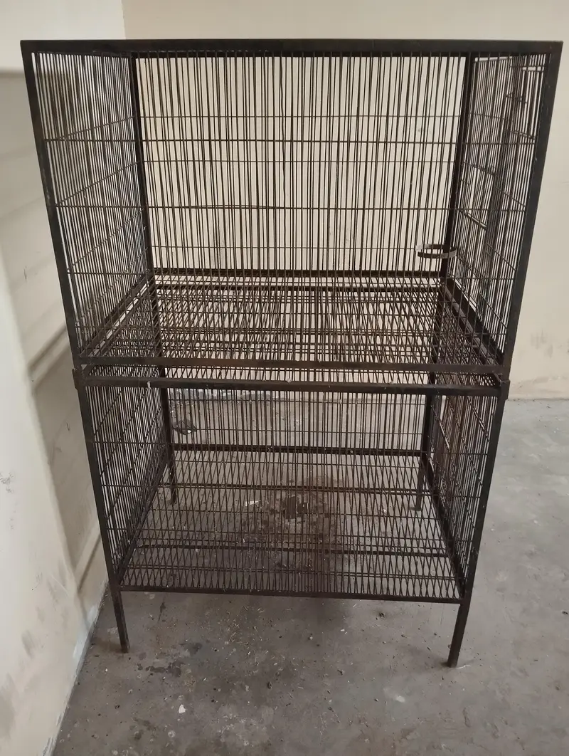cage & boxs — photo 2