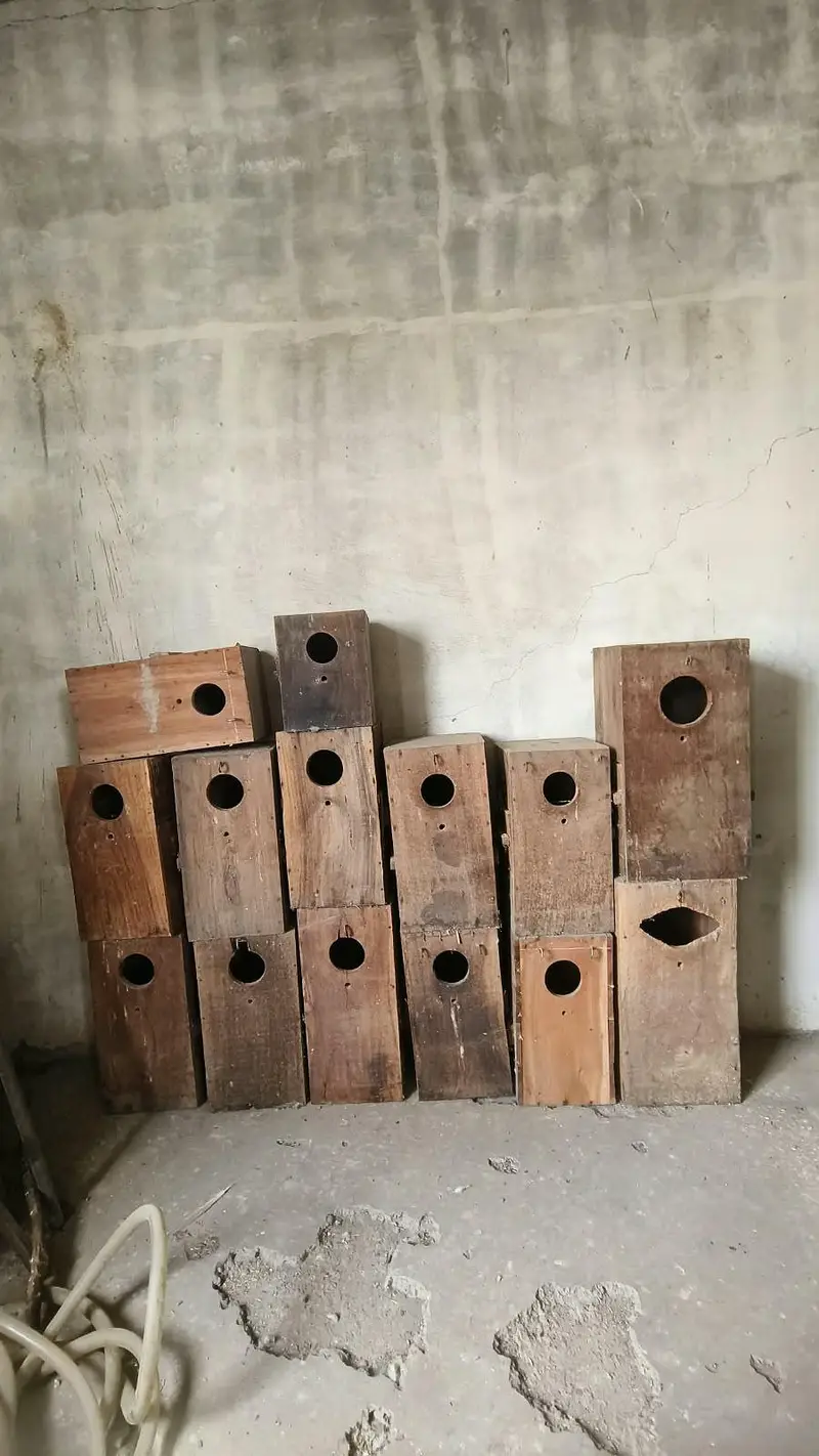 cage & boxs — photo 3