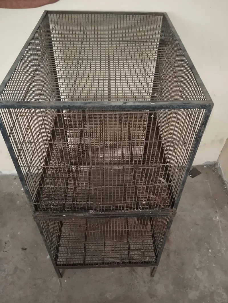 cage & boxs — photo 4
