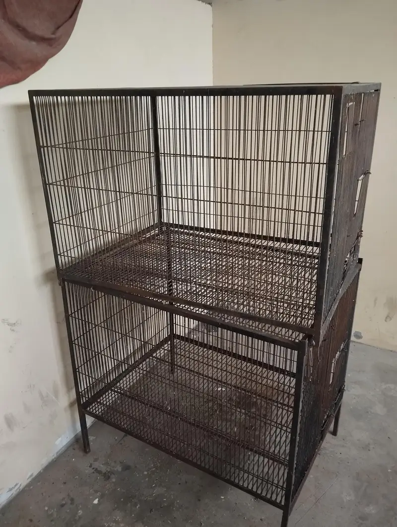 cage & boxs — photo 5