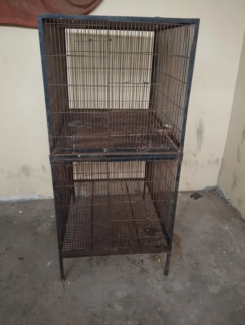 cage & boxs — photo 6