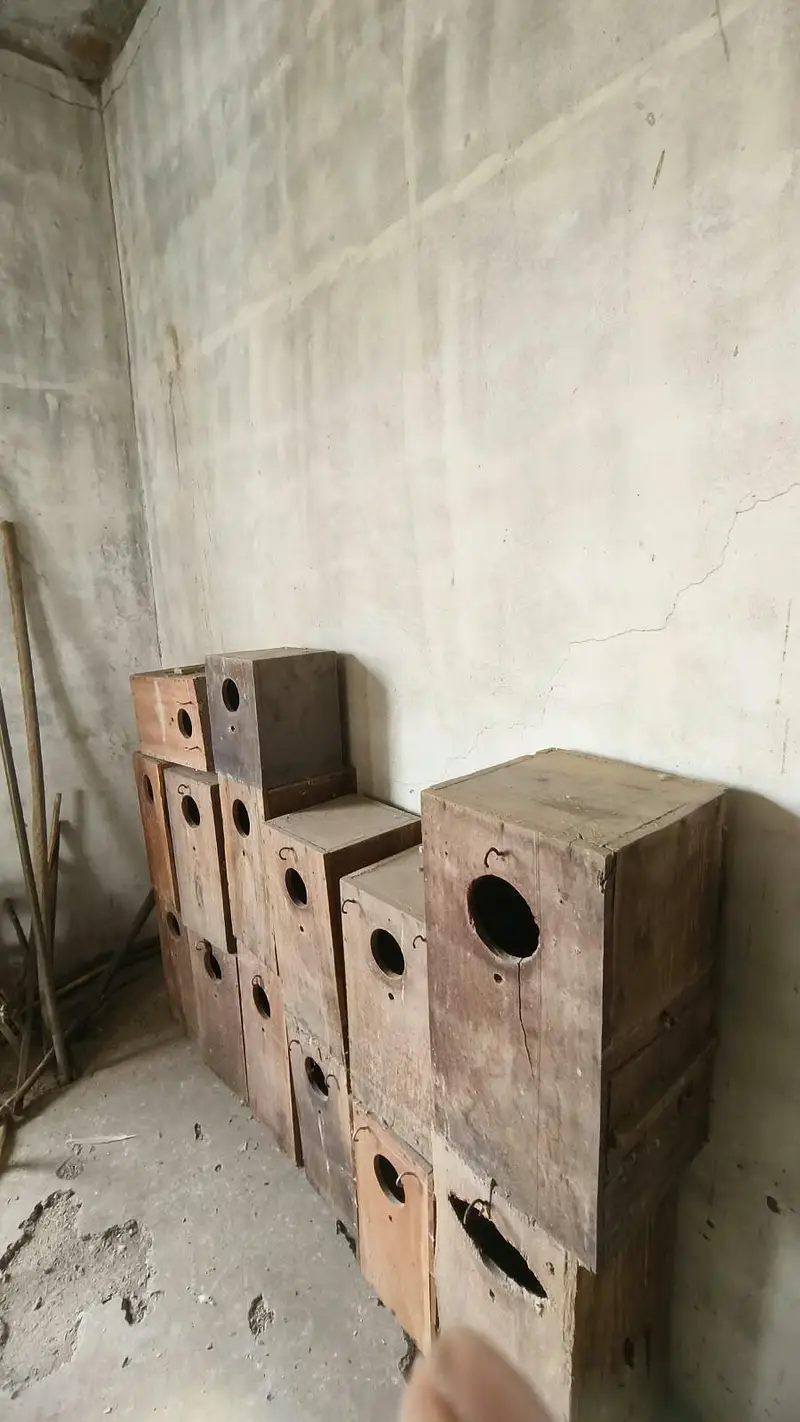 cage & boxs — photo 7