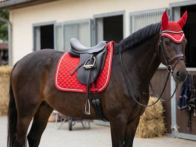 saddle pads