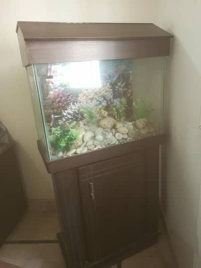 Custom-Built Wooden Stand Fish Aquarium with Setup - Premium Quality