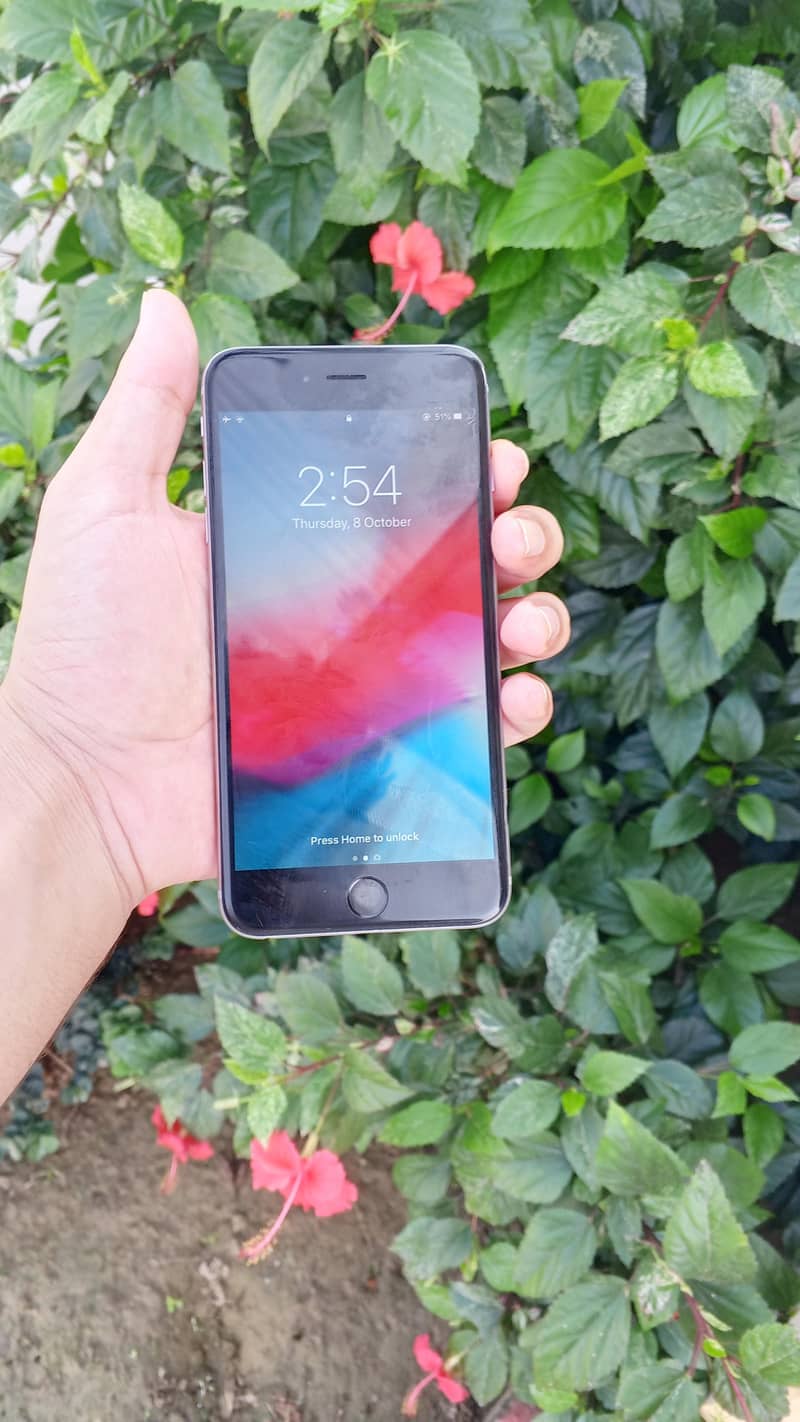 Apple iPhone 6 Plus 1
