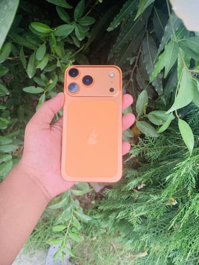 Apple iPhone XR