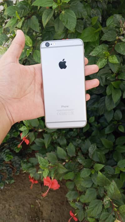 Apple iPhone 6 Plus