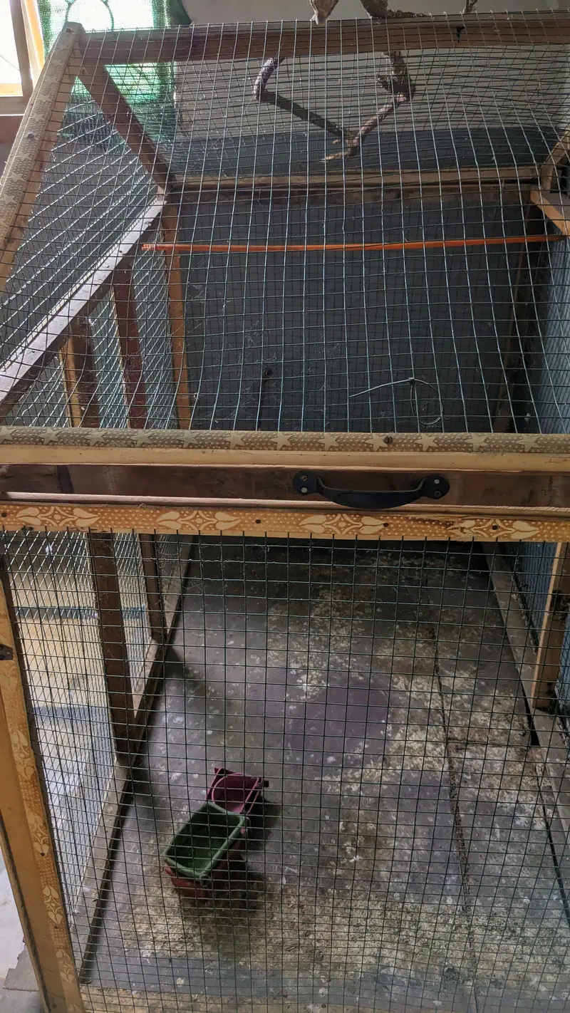 Big Size Wooden Cage For Birds — photo 2