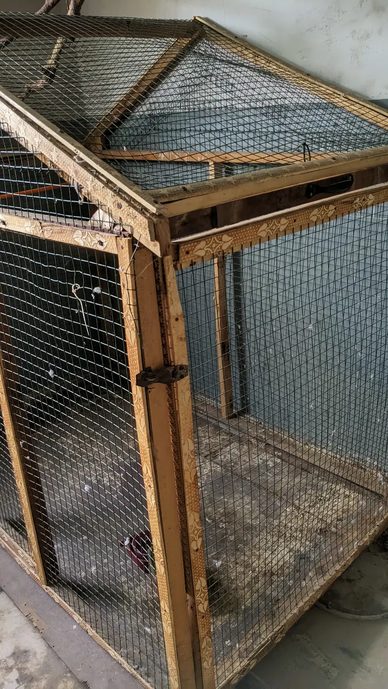 Big Size Wooden Cage For Birds — photo 3