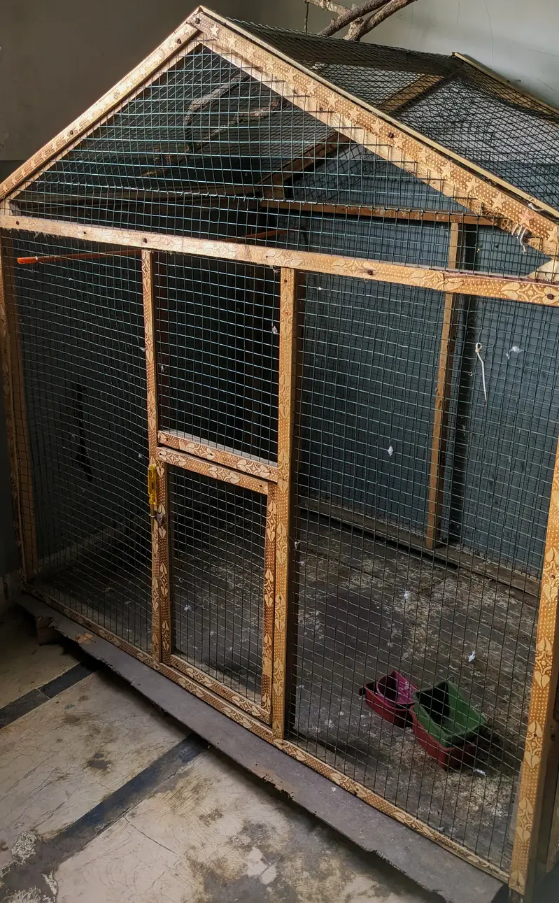 Big Size Wooden Cage For Birds — photo 4