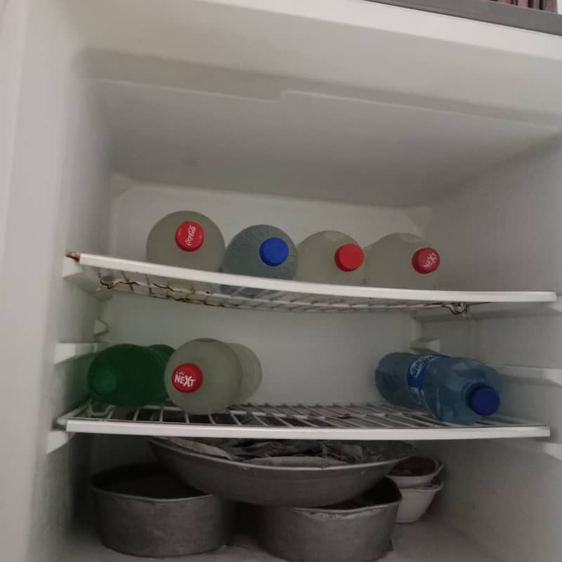 fridge 2