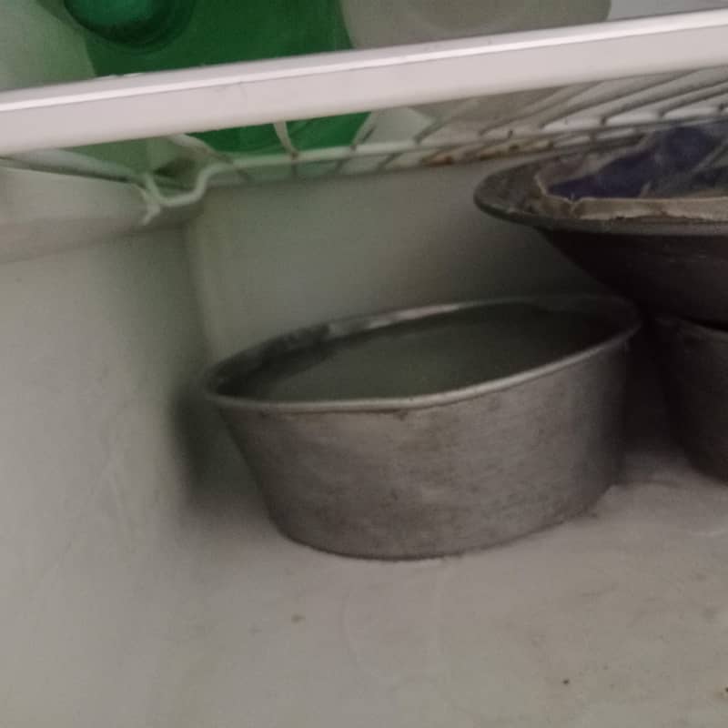 fridge 3