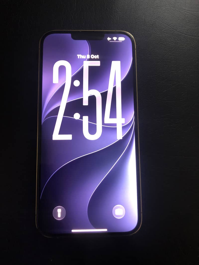 Apple iPhone 13 Pro Max 1