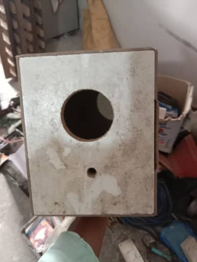 bird box for sale