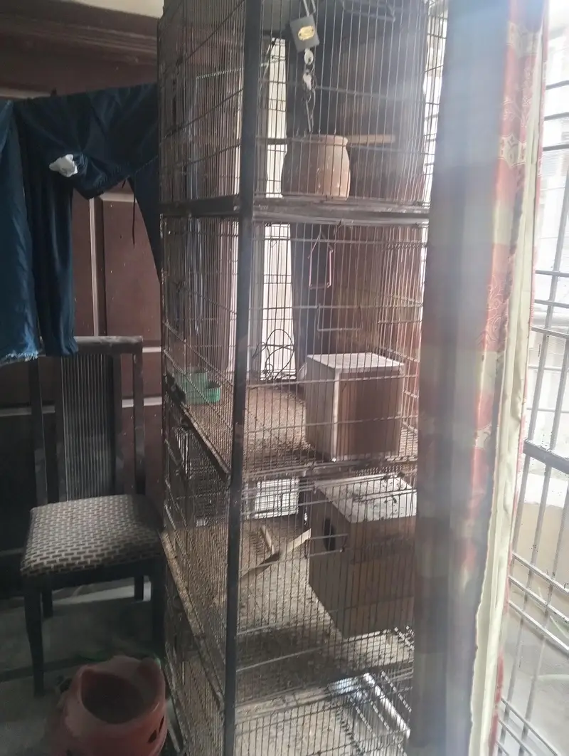 cage for sale — photo 2