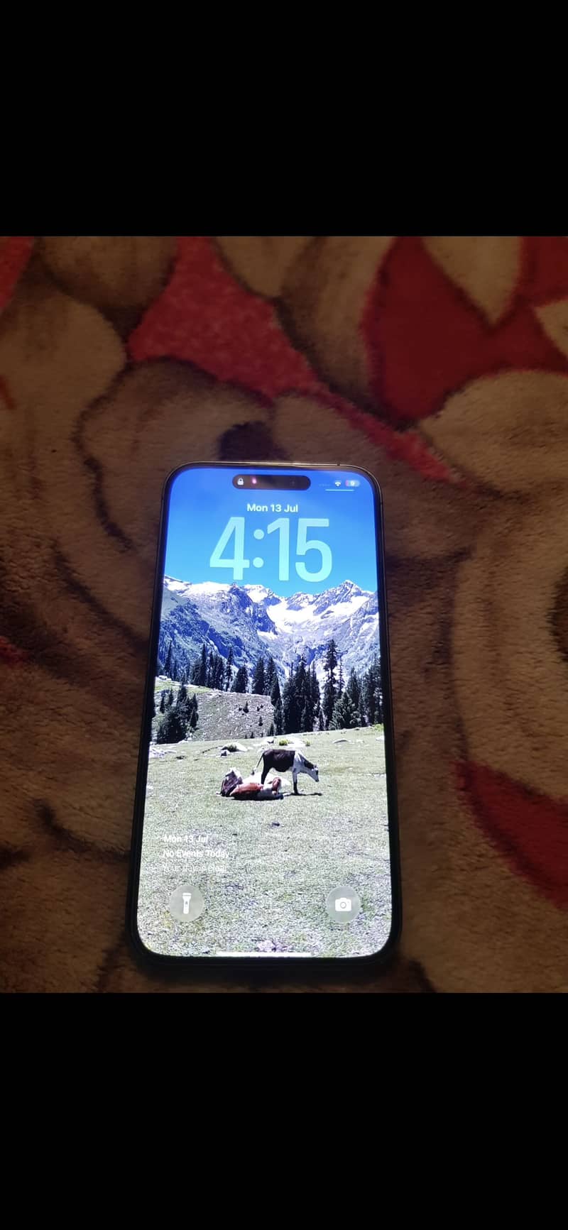 Apple iPhone 14 Pro Max 3