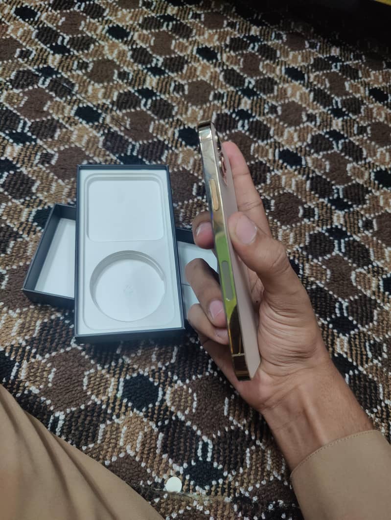 Apple iPhone 12 Pro 1
