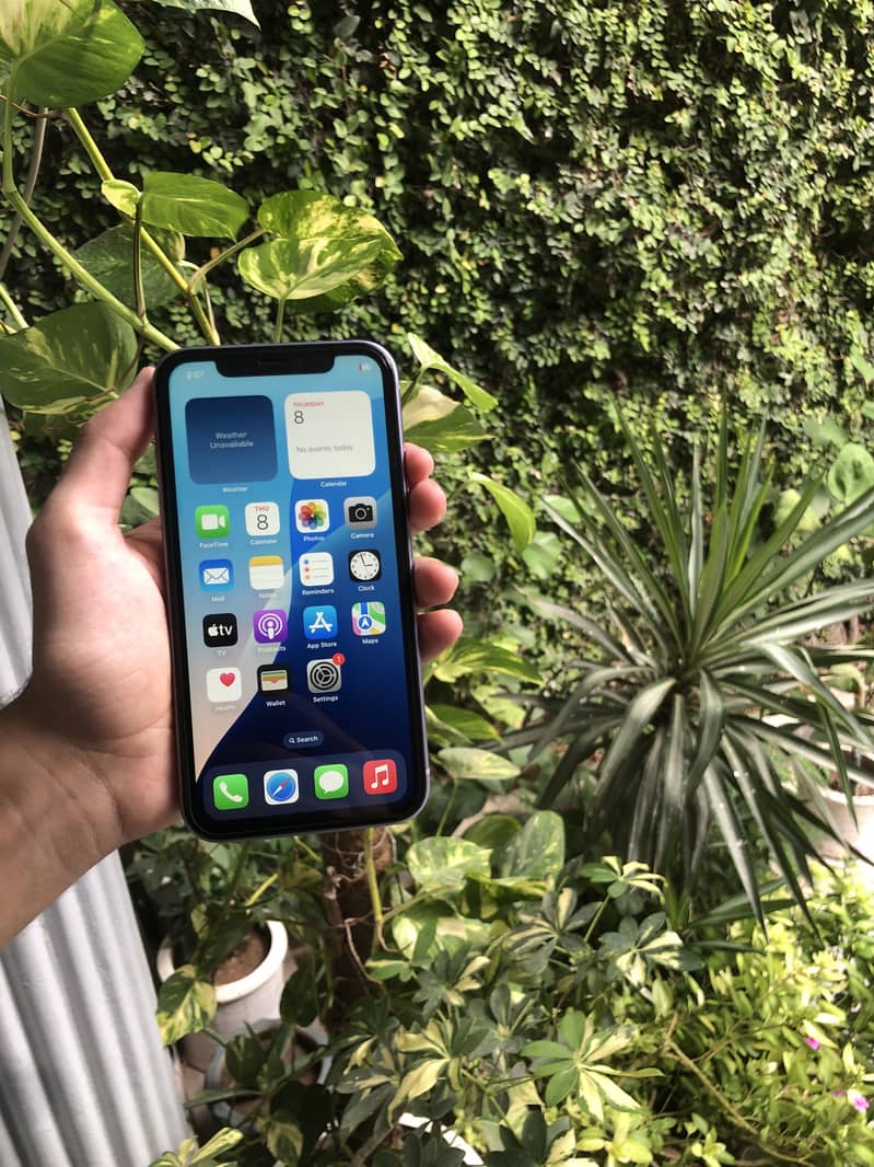 Apple iPhone 11 1