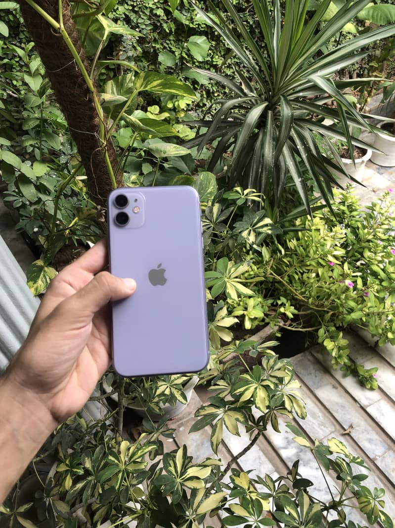 Apple iPhone 11 4