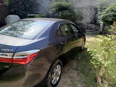 Toyota Corolla GLI 2019