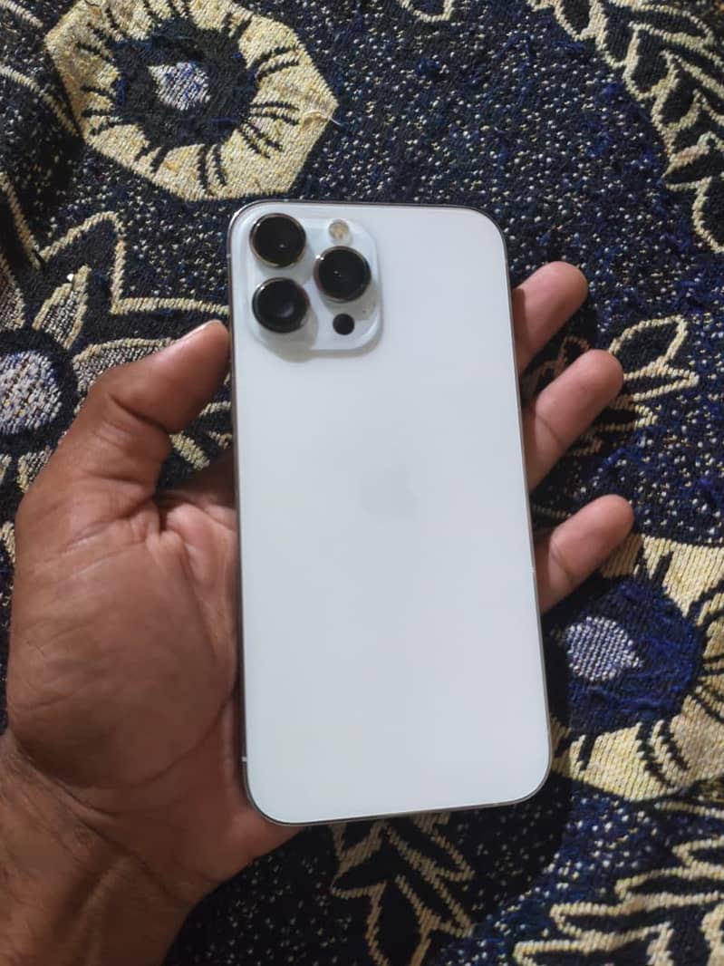 Apple iPhone 13 Pro Max 1