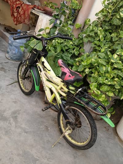 imported cycle for kids 16 inches