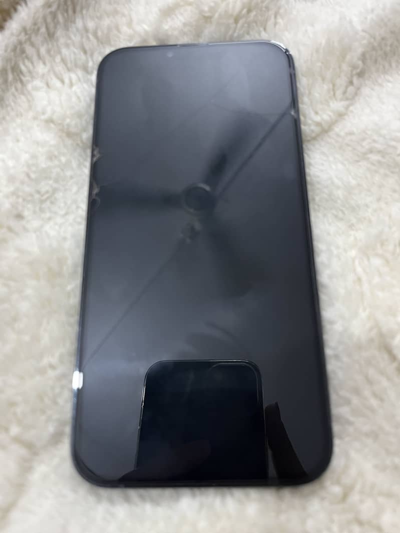 Apple iPhone 13 Pro Max 1