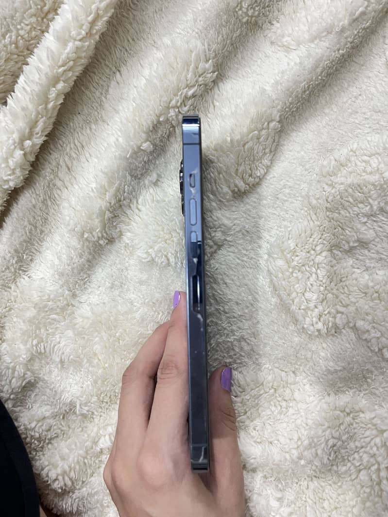 Apple iPhone 13 Pro Max 2