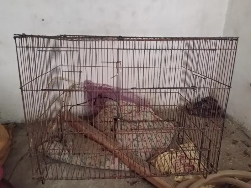 parrot cage — photo 3
