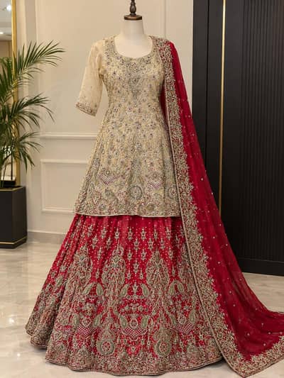 Beautiful Bridal Lehenga – Red & Skin Color | Excellent Condition