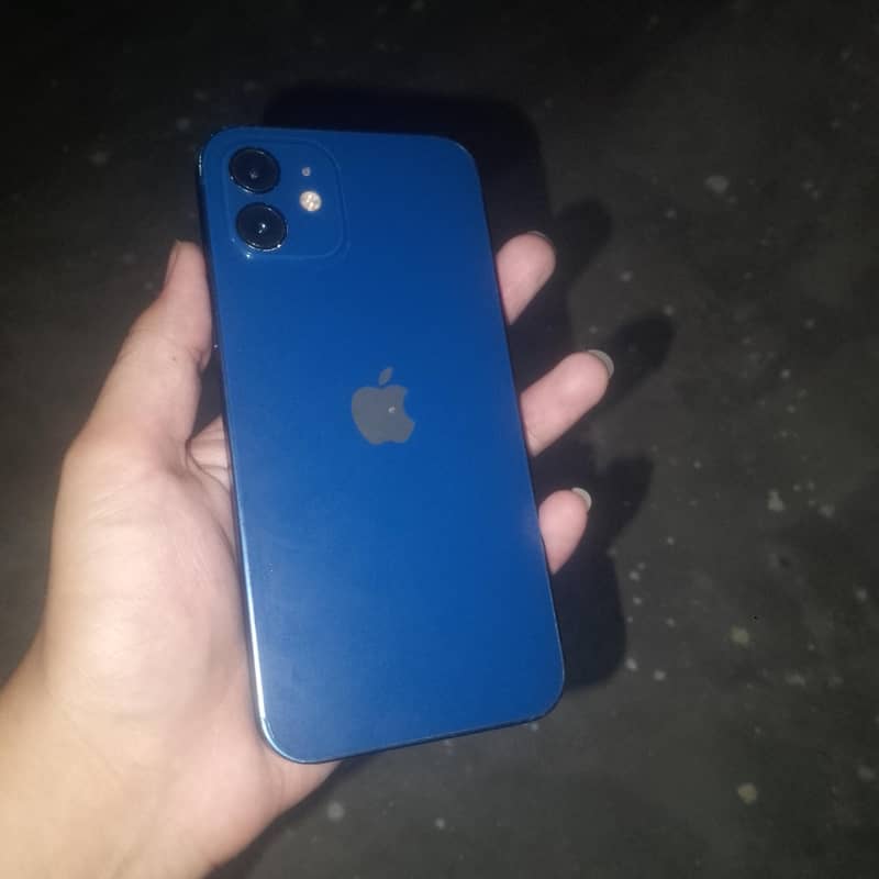 Apple iPhone 12 1