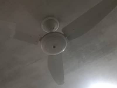 celling fan sale
