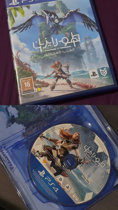 Horizon Forbidden West PS4 Disk