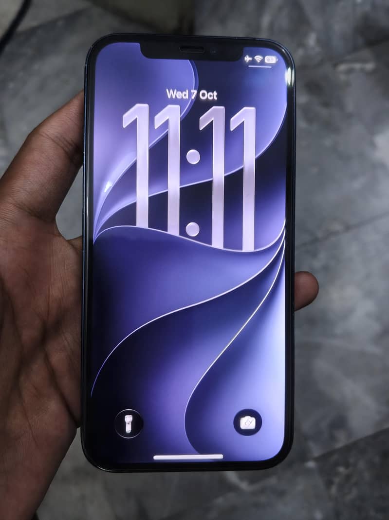 Apple iPhone 12 1