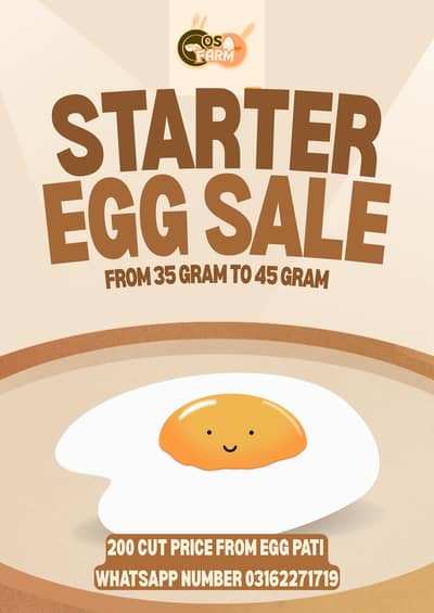 Starter egg for sale