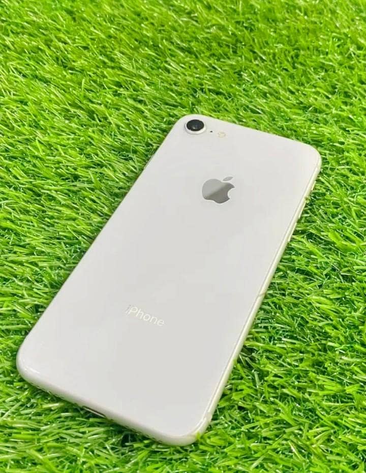 Apple iPhone 8 1