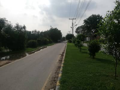 5 Marla Residential Plot Al Hamra Town, Near Emporium Mall & Main Pine Avenue